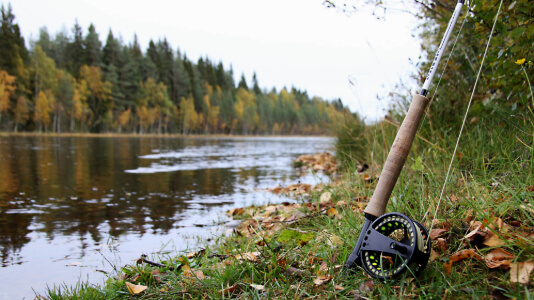 a rod standing by the water