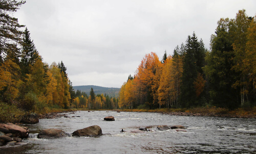 river